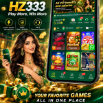 HZ333